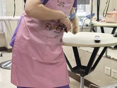 -北京观赏动物医院·24小时大型综合·猫专科·异宠专科