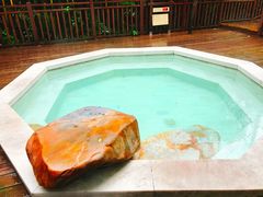 -天目湖涵田半山温泉
