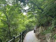 -老君山风景名胜区