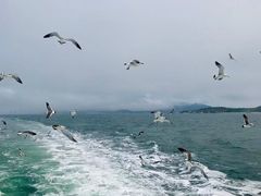 -皮口港