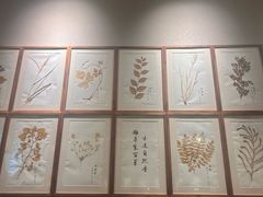 -清真·宁夏印象·盐池滩羊肉体验店(江宁路店)