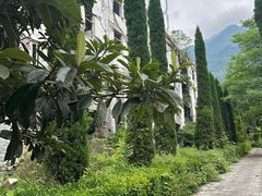 -阿坝州汶川特别旅游区