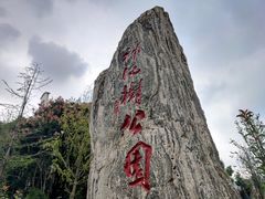 -神仙树公园