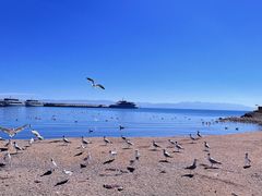 -青海湖二郎剑景区