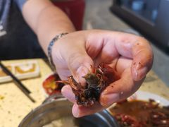 -食嗨汇海鲜烤肉自助餐厅(印象济南店)