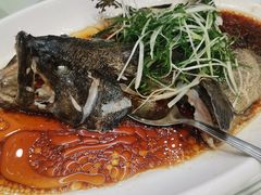清蒸桂花鱼-粤西稻里(富力路店)