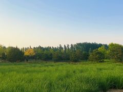 -东郊湿地公园