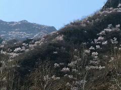 -白河堡水库
