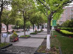 -上海市实验学校