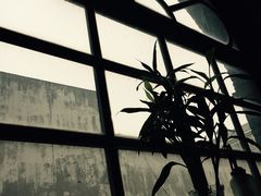 1901&nbsp;Cafe-1901 Cafe(西四店)