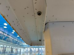 -北京科技大学-游泳馆