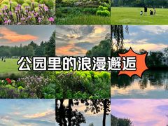 -海淀公园