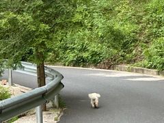 -东天目山风景区