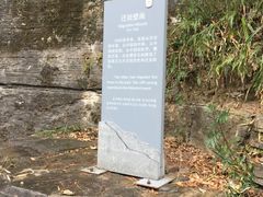 -苗人谷