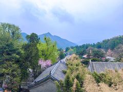 -潭柘寺景区