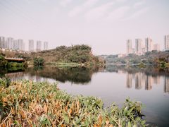 -重庆彩云湖湿地公园