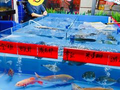 -明本湛江鸡•海鲜小厨(陈家祠店)