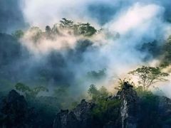 -千岛湖石林