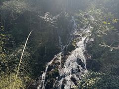 -东白山