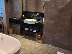 -河源万绿湖美思威尔顿酒店