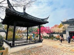-巡塘古镇