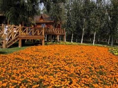 -武清南湖绿博园