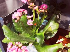 -何兮花店·气球派对鲜花店(马桥银春路万科城店)