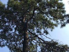 -敬亭山风景名胜区