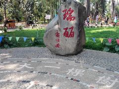 -瑞丽独树成林风景区