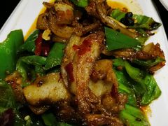 回锅肉-陈麻婆豆腐总店