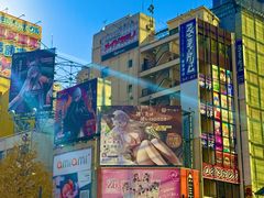 -秋叶原电器街