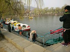 -泰山风景名胜区-虎山公园