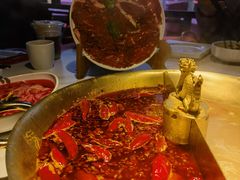 -小龙翻大江文化火锅(宽窄店)