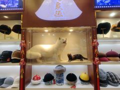 -马聚源(前门总店)