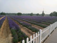 -渔岛海洋度假区