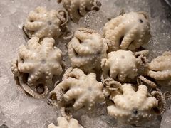 -铭聚章鱼土笋冻(松柏店)