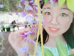 -荷兰花海
