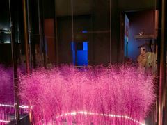-尚善若水·汤泉·SPA·沐足(东方渔人码头店)
