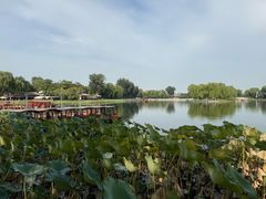 -同和居(什刹海店)