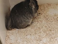 -龙猫仔乐园(惠福东路店)