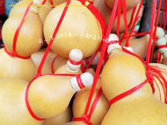 -清平路水族市场