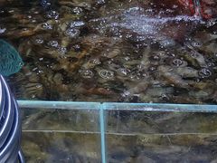 -聚盛源蒸汽海鲜火锅烤肉自助(巨川金海岸购物广场店)