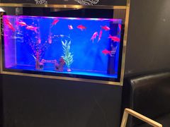 -蜀锦堂·川味现炒(襄阳武商汇店)