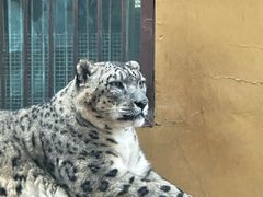 -青藏高原野生动物园