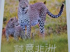 -好利来(团结湖店)