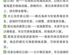 -日照灯塔风景区