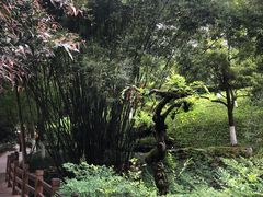 -龙头寺公园