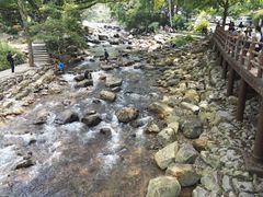 -广州市石门国家森林公园