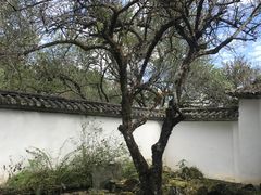 -和顺古镇