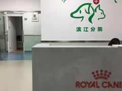 -美美宠物诊疗中心·异宠·骨科(滨江东信分院)